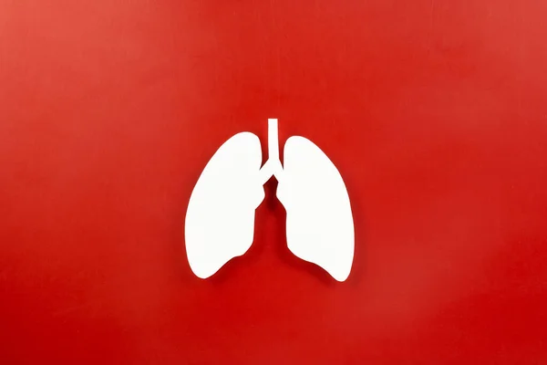 Světový Den Tuberkulózy Top View Plíce Papírové Dekorativní Symbol Červeném — Stock fotografie
