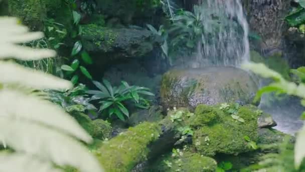 庭の水の中にぼやけた水を持つ美しい小さな滝岩や苔の石に落ちる 家での水の秋の夏の景色 公園での風景自然 — ストック動画