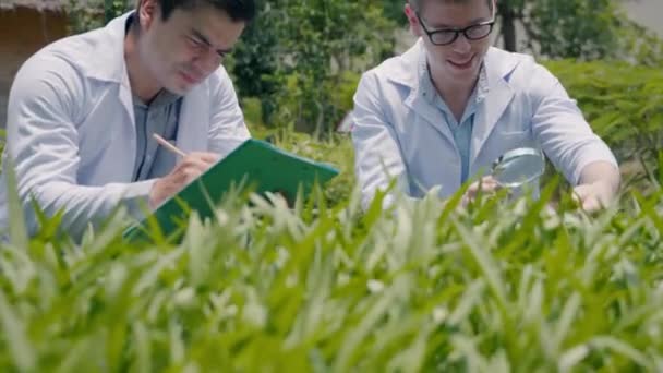虫眼鏡をかけ 病気のための水耕栽培の野菜の葉を見ている2人のバイオテクノロジーの男のエンジニア 専門の研究者農業科学者はクリップボードにメモを取る — ストック動画