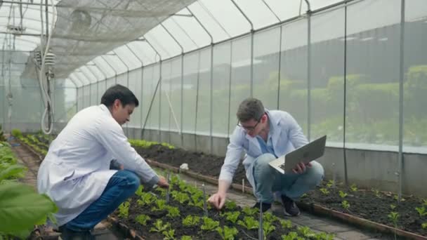 Ingeniero Hombre Dos Biotecnología Sosteniendo Lupa Mirando Hoja Verduras Granja — Vídeos de Stock