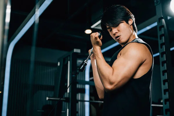 Slim Toned Asian Person Performing Cable Triceps Pull Using Gym — Stock Photo, Image