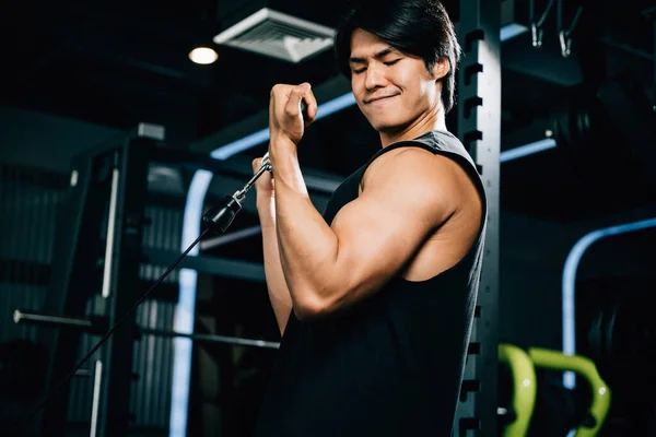 A young Asian man is doing a cable triceps pull up with heavy weight during a strength training workout in the gym. lifestyle and people concept