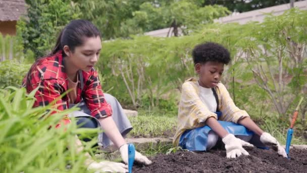 Happy Dzieci Grupa Dziewczyna Chłopiec Zróżnicowanego Środowiska Uczenia Się Roślin — Wideo stockowe