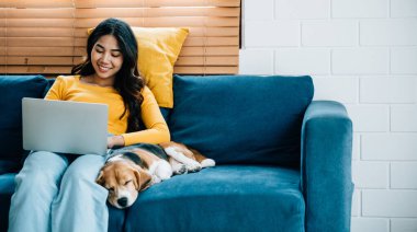 Ev ofisinden uzaktan çalışan bir kadın, dizüstü bilgisayarıyla kanepede oturuyor. Beagle köpekleri huzurlu bir uyku çekerek odaya dostça bir cazibe katıyor. Hayvan sevgisi