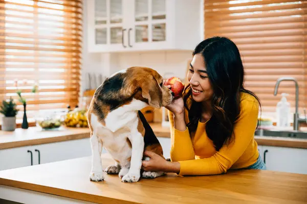 Bir Kadın Köpeğinin Önü Ikisi Mutfakta Kırmızı Bir Elmanın Tadını — Stok fotoğraf