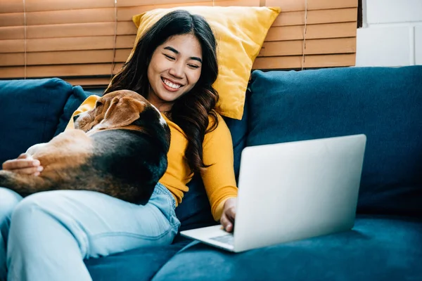 自宅のオフィスで生産的な一日 ソファーにノートパソコンを置いた女性は コンテンツの笑顔で眠る彼女のビーグル犬を伴いました 彼らの友情は仕事を楽しくする フレンドリーな犬 ペット — ストック写真
