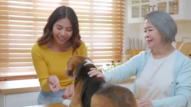 Przytulnej Kuchni Młoda Azjatka Jej Matka Ich Pies Gończy Dzielą — Wideo stockowe