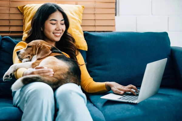 A woman studying and working online, enjoys company of her Beagle dog on the sofa in the living room. Their smiles reflect the friendly and productive atmosphere of their home workspace. Friendly Dog.