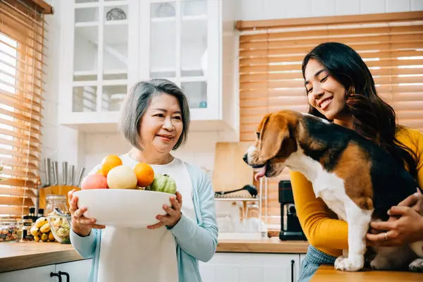 Mutfakta, büyükanne ve kızı da dahil Asyalı bir aile Beagle köpeğiyle eğlenceli anlar yaşıyor. Neşe, birliktelik ve evcil hayvan arkadaşlığı çok iç açıcı..