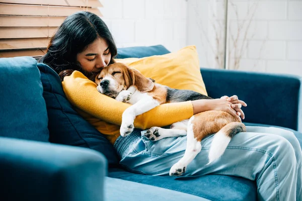 Embracing the essence of trust and love, a young Asian woman and her Beagle dog nap together on the sofa in their living room, highlighting their bond and togetherness. Pet love