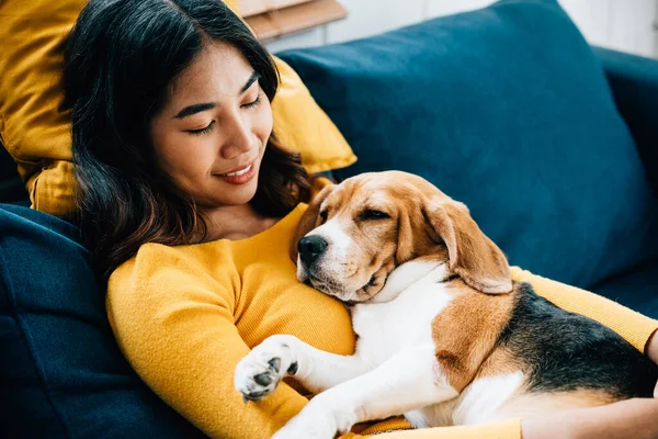 Bir Kadın Beagle Köpeği Kanepede Birlikte Kestirip Oturma Odalarında Güven — Stok fotoğraf
