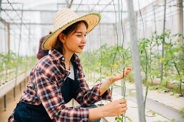 Eine Unternehmerin Und Inhaberin Gewächshaus Überprüft Tomatenpflanzen Auf Ihre Qualität — Stockfoto