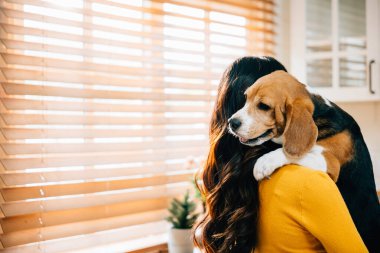 Bir kadın mutfakta durmuş, Beagle köpeğini omzunda tutuyor ve onu duygusal olarak kucaklıyor. Arkadaşlıkları, güvenleri ve tesellileri mutluluk ve neşe anları yaratır..