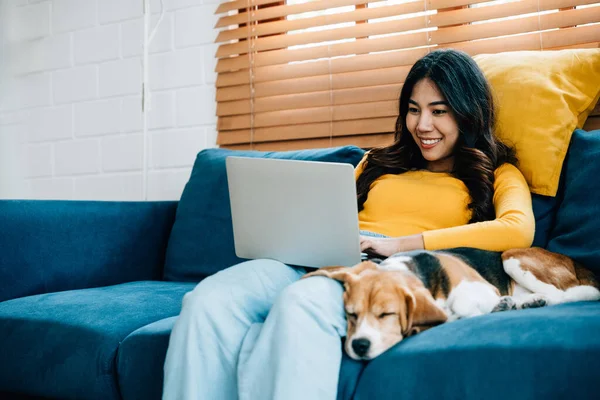 Working from her living room, a happy young woman shares the sofa with her laptop and Beagle dog. Her pets peaceful sleep enhances the atmosphere of this friendly home office. Pet love