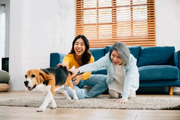 In their cozy living room, a barefoot woman and her mother run with their Beagle dog, showcasing their active and friendly lifestyle. Its a delightful scene of family togetherness. pet love
