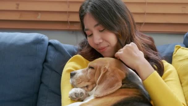 Mysig Hemmiljö Asiatisk Kvinna Och Hennes Beagle Valp Tupplur Tillsammans — Stockvideo