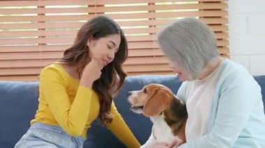 Kanepede, bir kadın ve annesi özel bir aile anını Beagle köpeğiyle paylaşıyor. Sevgi ve sadakatleri gülümsemelerinde belli oluyor, ailelerinin gücünü vurguluyorlar..