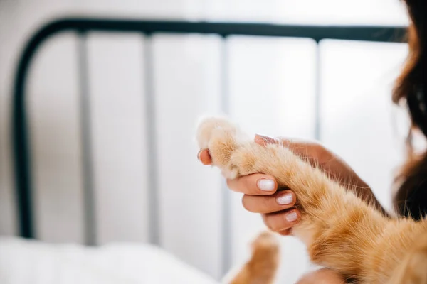 A domestic cat comfortably sleeps in a womans lap while she holds its paw, their legs touching in harmony. A perfect illustration of the togetherness and support found in a human-feline friendship.