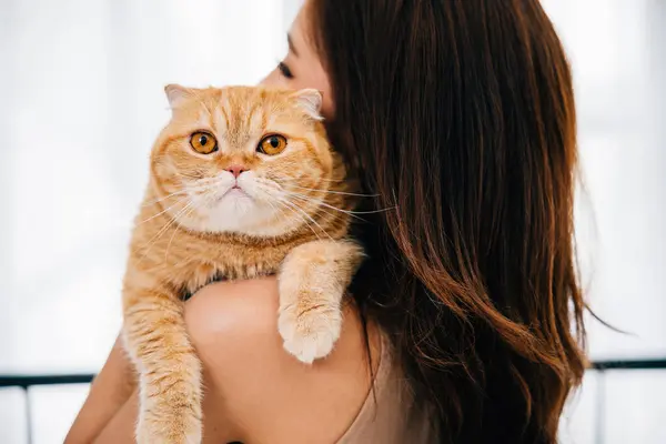 Unrecognizable Woman Carries Her Cute Scottish Fold Cat Eyes Reflecting — Stock Photo, Image