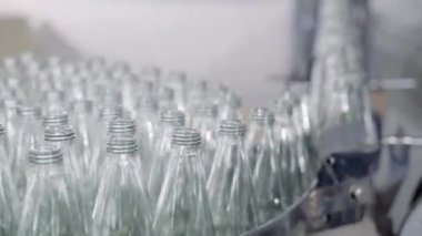 Modern bir içki imalathanesinde bir taşıyıcı alkollü içecek üretimi için boş cam şişeler sergiler. Temiz otomatikman, verimli şişeleme ve imalat vaat ediyor.