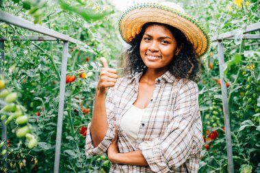 Hidroponik bir serada dişi çiftçiler domates kalitesini kontrol eder gülümseyerek ve başparmak işareti yaparak. Portreleri, iyi büyümeye adanmışlığı, başarılı girişimciliği ve neşeli açık hava çiftçiliğini resmediyor..