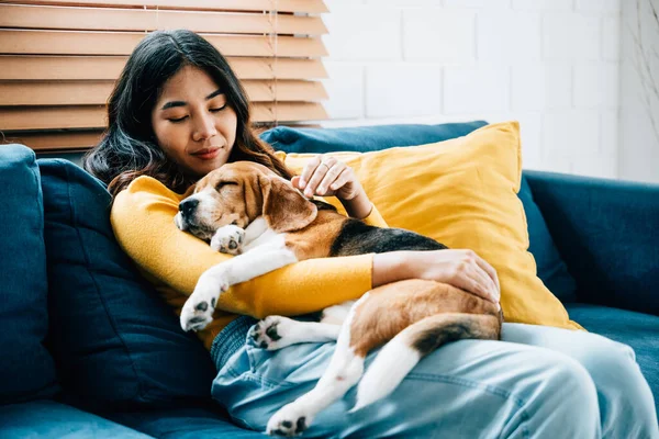 Birlikte olmanın iç açıcı bir sahnesi, Asyalı bir kadın ve oturma odasındaki kanepede köpek yavrusu şekerlemesi, güven, mutluluk ve evdeki aşk kavramını özetliyor. Hayvan sevgisi
