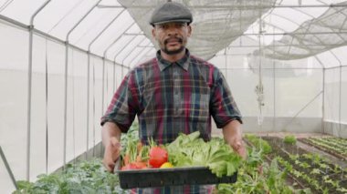 Elinde taze çiğ sebzelerle dolu tahta bir kutu tutan çiftçi evde sebze yetiştiren sağlıklı bir adam.