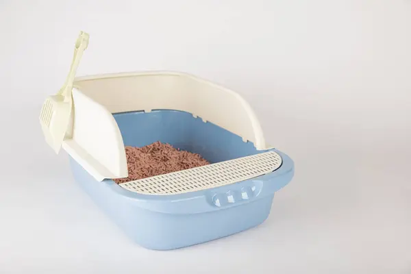Ensure Hygiene Cleanliness Your Cats Crate Isolated Plastic Cat Litter — Stock Photo, Image