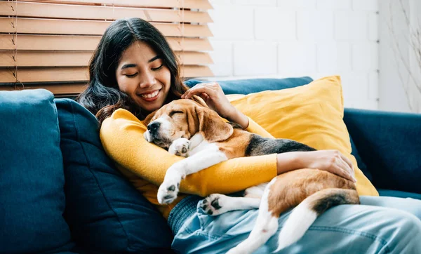 In a cozy home setting, an Asian woman and her Beagle puppy nap together on the sofa in their living room. Their bond is a beautiful portrayal of trust, togetherness, and happiness. Pet love