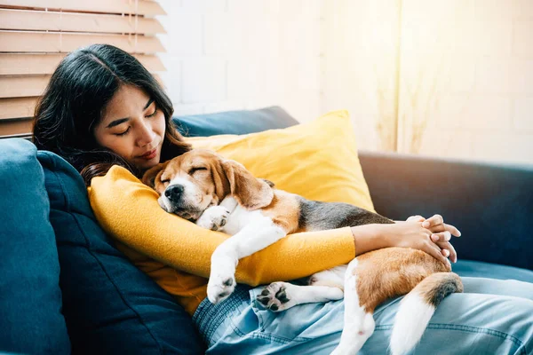 Oturma odasında iç açıcı bir sahne başlıyor. Genç Asyalı bir kadın kanepede kestirirken Beagle köpeğini kucaklıyor. Evdeki güven ve mutluluk kavramını simgeliyor..