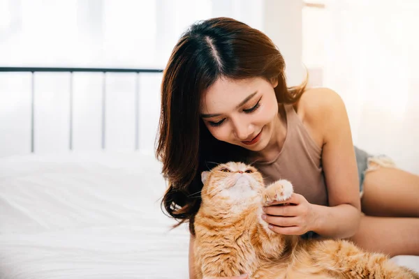 A womans hand caresses her Scottish Fold cat on the bed in their room, sharing smiles and relaxation. Their bond is a heartwarming display of owner-pet connection. Pat love