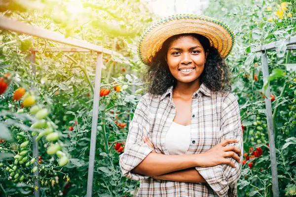 Uma Estufa Tomate Uma Mulher Agricultora Sorrindo Braços Cruzados Mostra — Fotografia de Stock