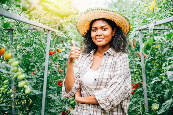 Glückliche Bäuerinnen Einem Hydroponischen Gewächshaus Checken Die Tomatenqualität Und Geben — Stockfoto