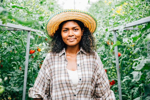 Among tomato plants in a greenhouse smiling woman farmer stands portraying happiness in her occupation. Her portrait reflects dedication to vegetable growth working outdoors. Beauty in nature.