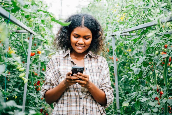 In a green haven, a happy female farmer converses on her phone, holding ripe tomatoes. Business communication technology links the farm to the community, nurturing growth and happiness.