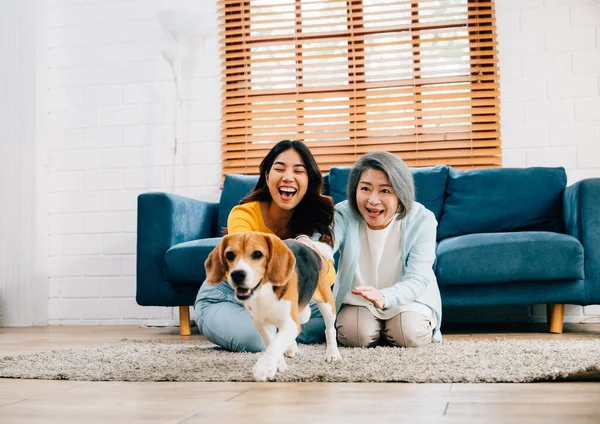 Active and healthy living, A woman and her mother enjoy a friendly run with their Beagle dog in the comfort of their homes living room. Their bond is evident in their joy. pet love
