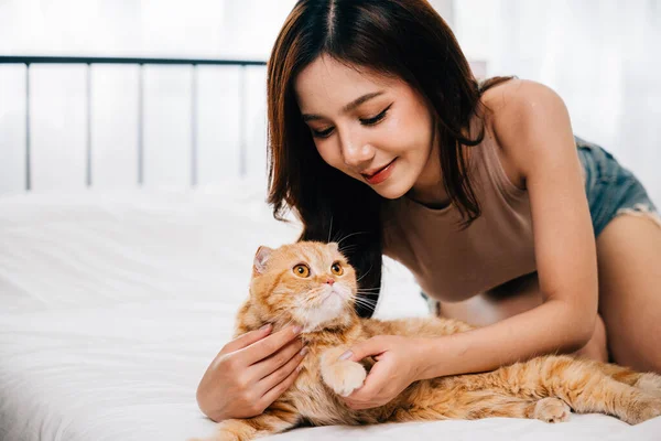 A woman looks on with love and happiness as she strokes her playful Scottish Fold cat on the bed in their room. Their connection is filled with warmth and care. Pat love