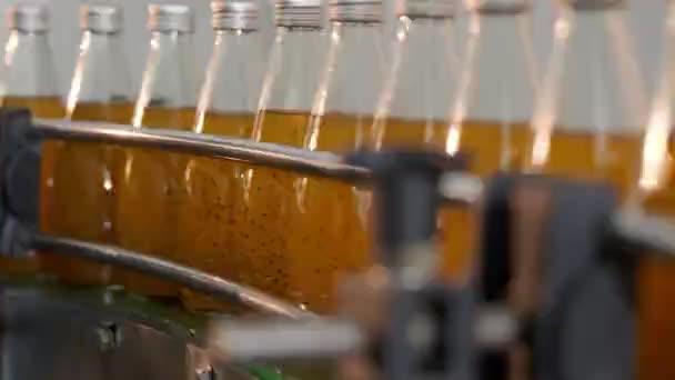 Bazalkové Nebo Chia Semínkové Nápoje Granátovým Jablkem Efektivně Plní Průhledných — Stock video