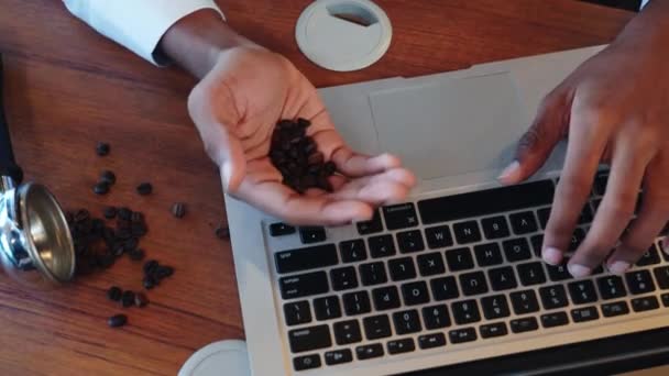 コーヒーロースターのオフィスでは バリスタはラップトップで豆の品質をチェックする技術を採用しています 細心の注意を払って働くことは優秀なコーヒー豆を保証します — ストック動画