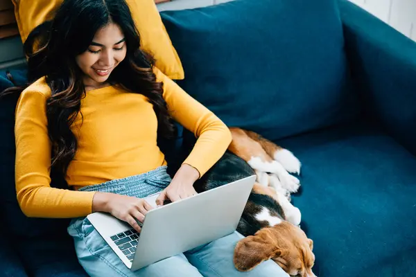 In her home office on the sofa, a woman works diligently on her laptop while her Beagle dog enjoys a nap. Their friendship and smiles define this cozy workspace. Pet love