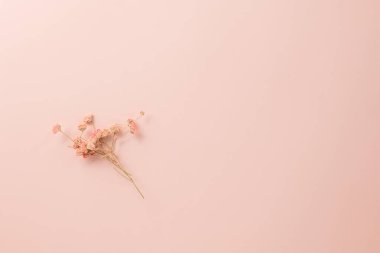 Kağıt üzerinde güzel bahar çiçekleri pembe arka plan, yukarıdan küçük düğün çiçekleri, Anneler Günü, Sevgililer Günü, yaz konsepti