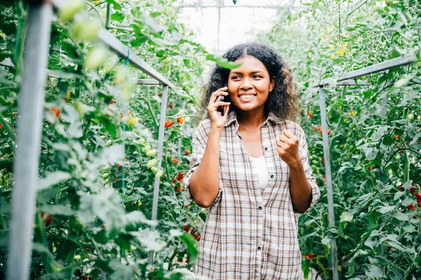 Treibhausbauer Lächelnd Und Mit Hut Kommuniziert Telefon Während Reife Tomaten — Stockfoto