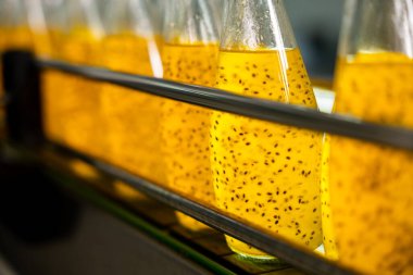 Fabrikada şeffaf şişeler verimli bir otomatikleştirmeyle fesleğen tohumu ve nar içecekleriyle doldurulur. Bu temiz teknoloji yüksek kalitede sağlıklı içecekleri güvence altına alır..