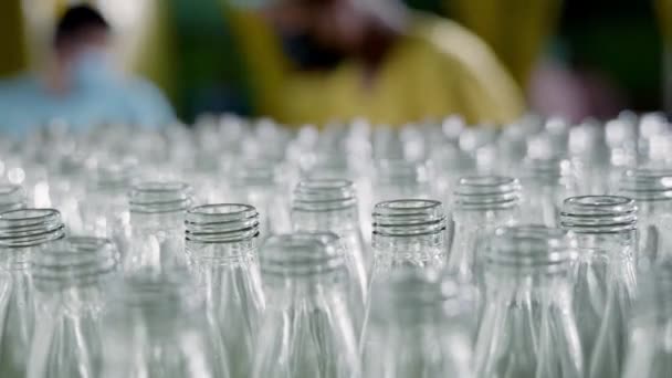 近代的な蒸留所のコンベヤーは アルコール飲料の生産と瓶詰めのための空のガラス瓶を備えています 自動化されたきれいな工場は有効な製造を保証します — ストック動画