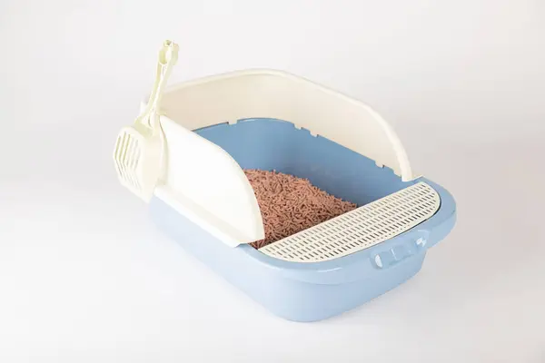 Isolated White Background Plastic Cat Litter Toilet Tray Scoop Hygiene — Stock Photo, Image