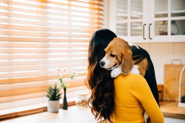 Omzunda Beagle köpeği olan bir kadın mutfağın içinde duruyor ve tüylü arkadaşına duygusal olarak sarılıyor. Onların yakın bağı, güveni ve tesellisi mutluluk ve neşe saçıyor..
