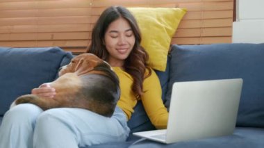 Kürklü bir meslektaşıyla uzaktan çalışmanın tadını çıkaran genç kadın, dizüstü bilgisayarıyla kanepede otururken Beagle köpeği huzurlu bir şekerleme yapıyor. Onların dostça ortaklığı ev ofisini güçlendirir. Arkadaş canlısı köpek..