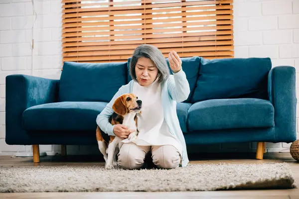 Gülümseyen yaşlı bir kadın oturma odasında köpeğiyle kanepede oturuyor. Destek ve dostluk bağları gayet açık, evlerini sıcaklık ve mutluluk cenneti haline getiriyor. Hayvan sevgisi