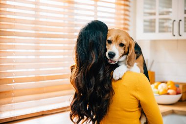Mutfakta güzel bir kadın Beagle köpeğini omzunda tutuyor, oynuyor ve teselli ediyor. Güçlü bağları, güvenleri ve mutlulukları arkadaşlıklarını belirler..