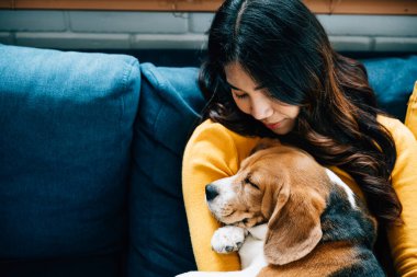 Sıcak bir yuva, genç bir Asyalı kadın kanepede Beagle köpeği ile huzur içinde kestiriyor, güven, birliktelik ve mutluluğu onların aşk portrelerinde yakalıyor. Hayvan sevgisi